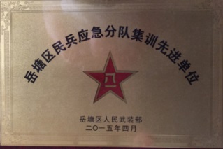 湘潭世平保安服務有限公司,湘潭保安服務,技防服務,特保服務哪里好