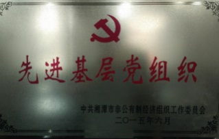 湘潭世平保安服務有限公司,湘潭保安服務,技防服務,特保服務哪里好