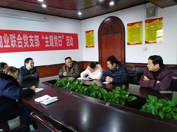 湘潭世平保安服務有限公司,湘潭保安服務,技防服務,特保服務哪里好