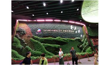 2019北京世園會，我們來啦